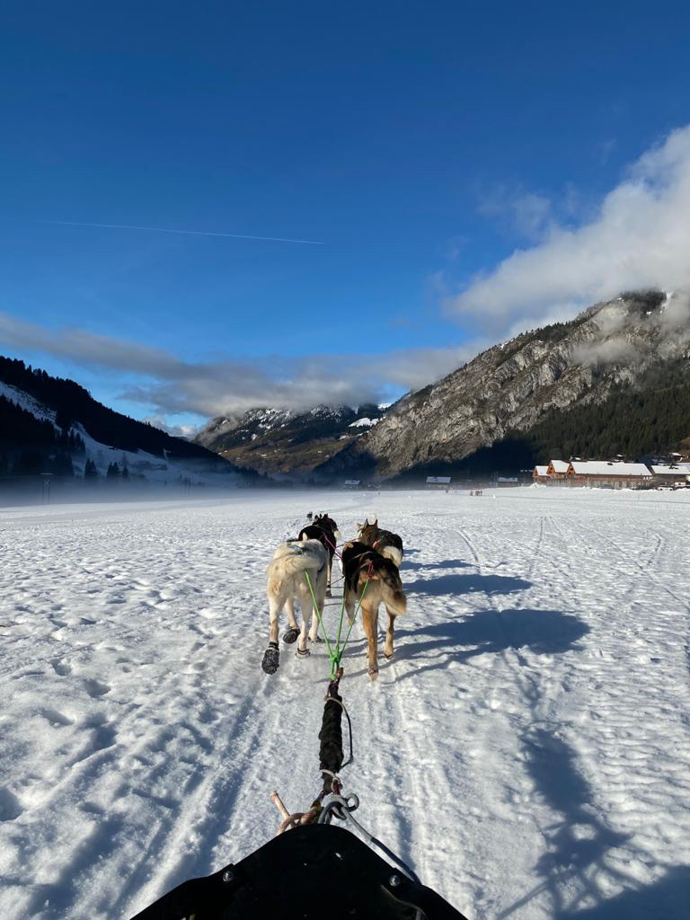 Le Cairne - Chalet résidence, locations haut de gamme dans le domaine des Portes du Soleil